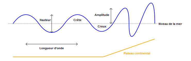 La Mesure Et La Propagation Des Tsunamis